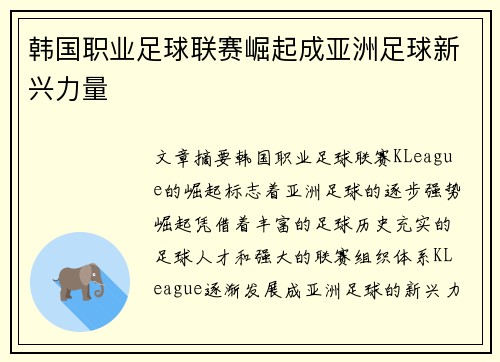 韩国职业足球联赛崛起成亚洲足球新兴力量